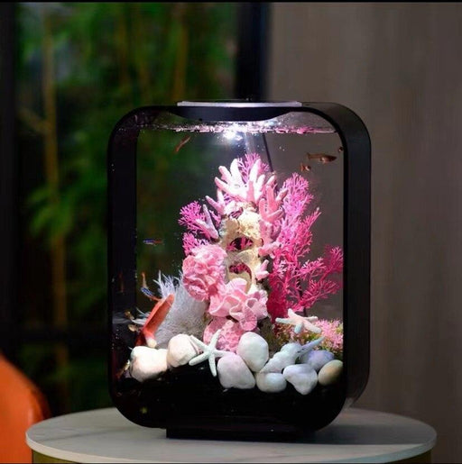 Luxury Botanica Modern Small Ecological Fish Tank
