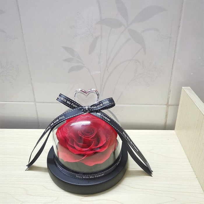 Timeless Love - Real Rose in Glass Dome Gift Set