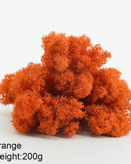 Timeless Greenery Art Creation Kit - Eternal Moss & Custom Grass Mix - 200g