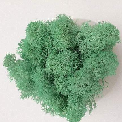 Timeless Elegance Moss Collection: Luxurious Artificial Plants for Upscale Home Decor