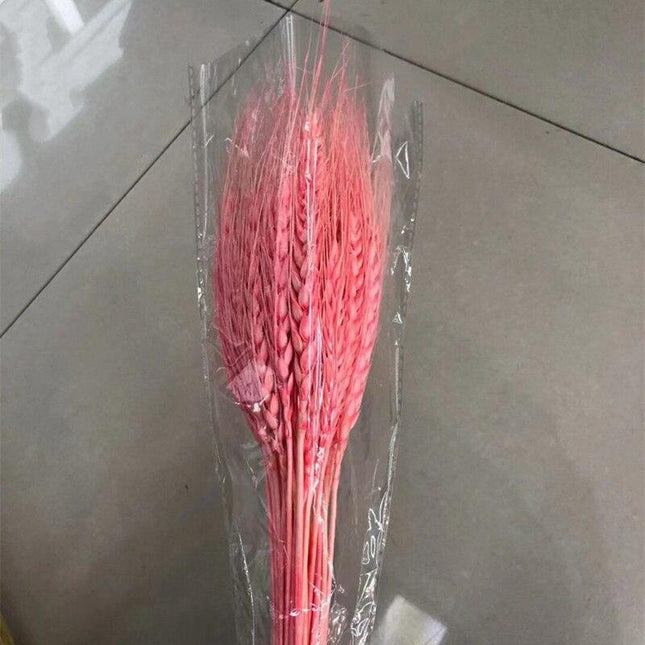 Golden Wheat Ear Dried Bouquet Collection - 45 Natural Stalks