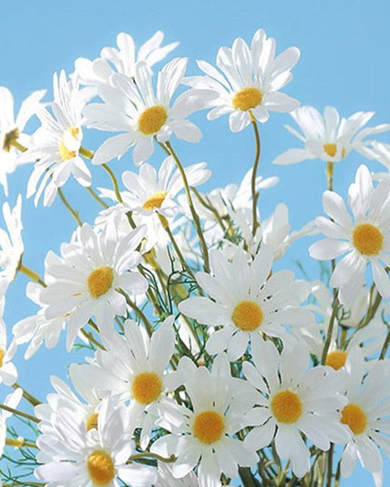 Charming White Daisy Ensemble - 5-Piece Artificial Floral Stem Collection for Elegant Home Accents