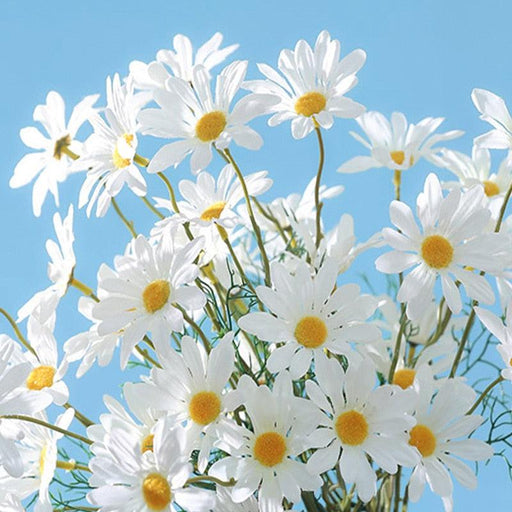 5 Heads White Daisies Artificial Flowers - Long Branch
