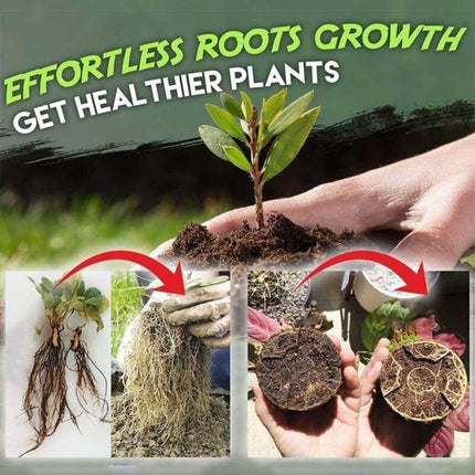 Rapid Root Revolution: Premium Growth Enhancer for Swift Plant Propagation