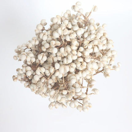 Elegant White Dried Floral Bouquet with Mini Fruits for Home and Event Styling