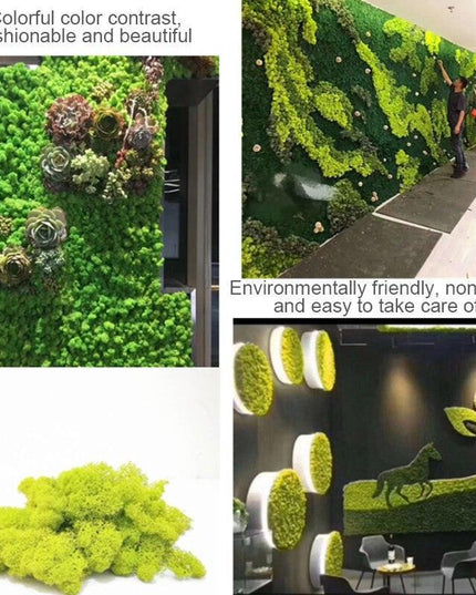 Timeless Greenery Art Creation Kit - Eternal Moss & Custom Grass Mix - 200g