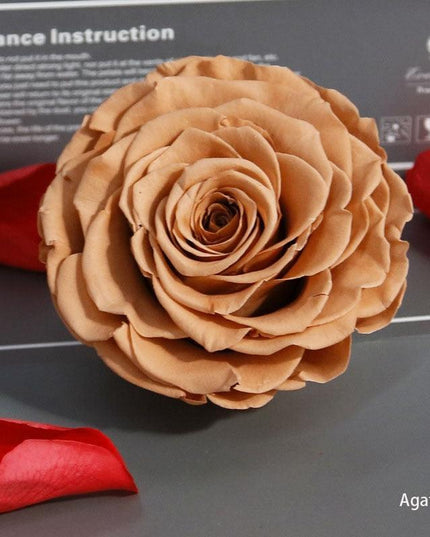 Timeless Grace: Luxurious Preserved Rose Head for Lasting Splendor