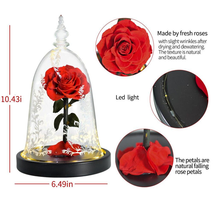 LED Lighted Beauty and the Beast Forever Rose in Glass Dome - A Timeless Gift for Her