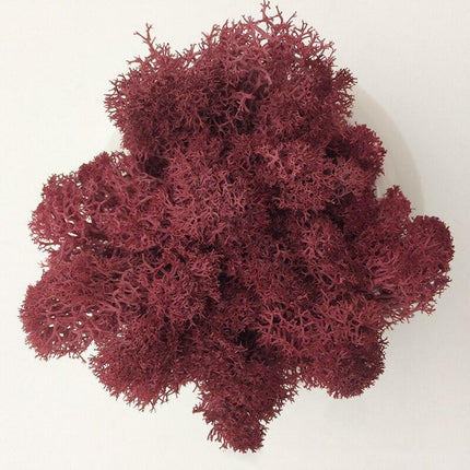 Timeless Elegance Moss Collection: Luxurious Artificial Plants for Upscale Home Decor