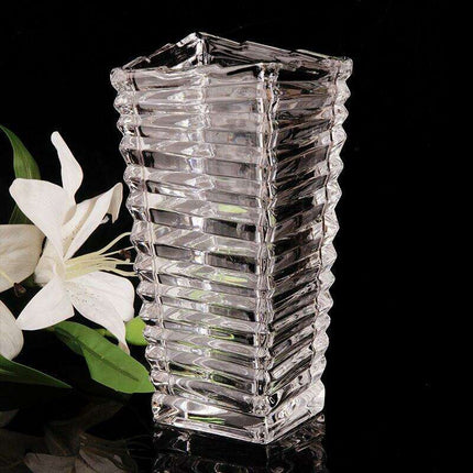 Modern Glass Vase for Lucky Bamboo and Floral Displays