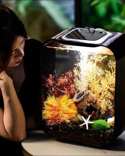 Modern Serenity LED Acrylic Aquarium for Stylish Spaces