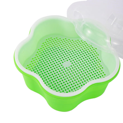 Homegrown Health: Ultimate Sprouting Kit for Fresh, Nutrient-Dense Delights!