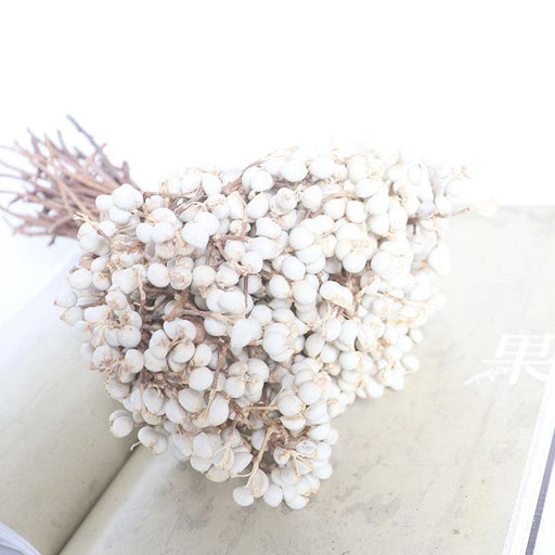Elegant White Dried Flower Bouquet with Small Fruits for Home and Events