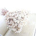 Elegant White Dried Flower and Mini Fruit Arrangement for Home and Events