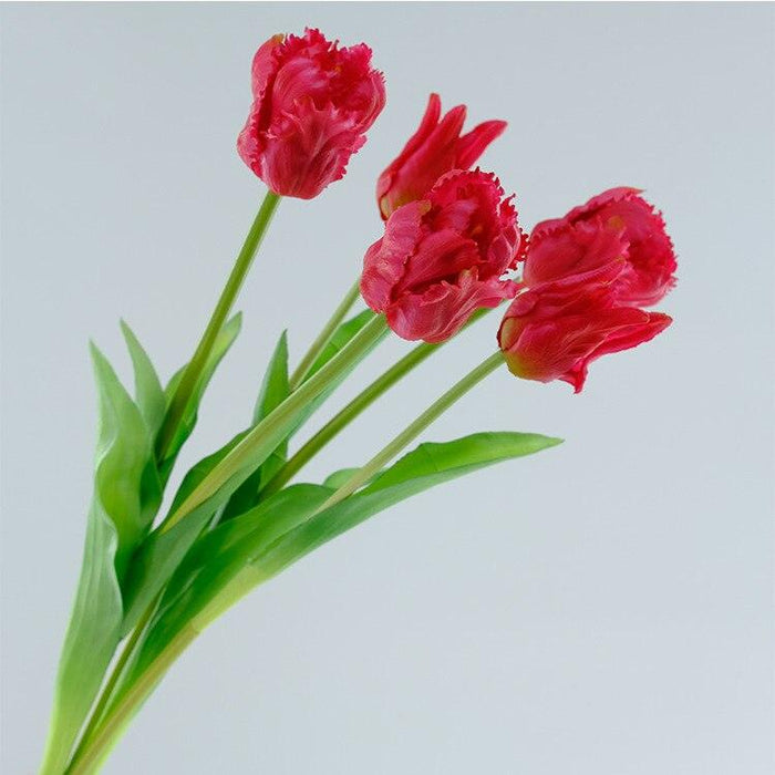 Parrot Tulip Silk Floral Ensemble - Set of 5