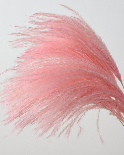 Elegant Dried Floral Arrangement with Pampas Grass - Ideal for Home Decor and Special Occasions