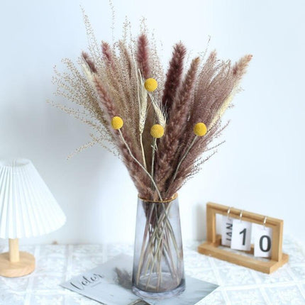 Natural Dried Rabbit Tail Pampas Grass Decorative Bundle - 80 Stems