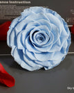 sky blue / 9-10cm(1pc)