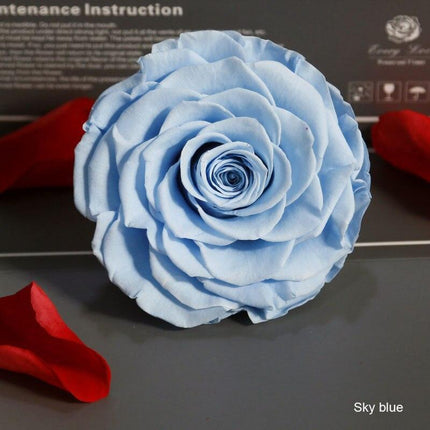 Timeless Grace: Luxurious Preserved Rose Head for Lasting Splendor
