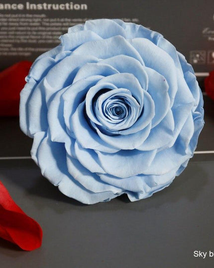 Timeless Grace: Luxurious Preserved Rose Head for Lasting Splendor