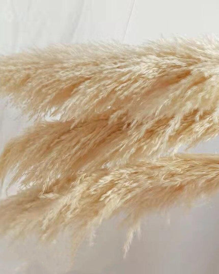 Bohemian Elegance: Pampas Grass and Reed Arrangement for Home Decor