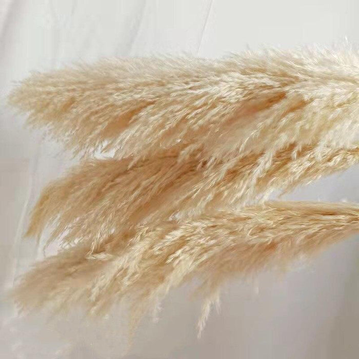 10-Year Lasting Pampas Grass and Reed Bouquet in Elegant Colors