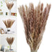 Boho Chic Natural Dried Pampas Grass Bundle - Set of 95/60 Stems