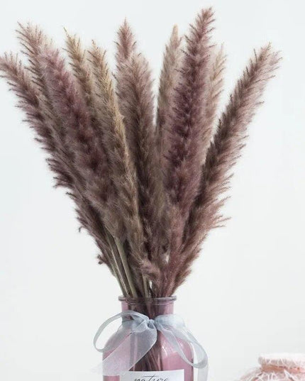 Timeless Pampas Reed & Whisk Dust Dried Flowers Collection for Elegant Home Decor & Events