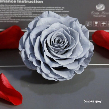 Timeless Grace: Luxurious Preserved Rose Head for Lasting Splendor