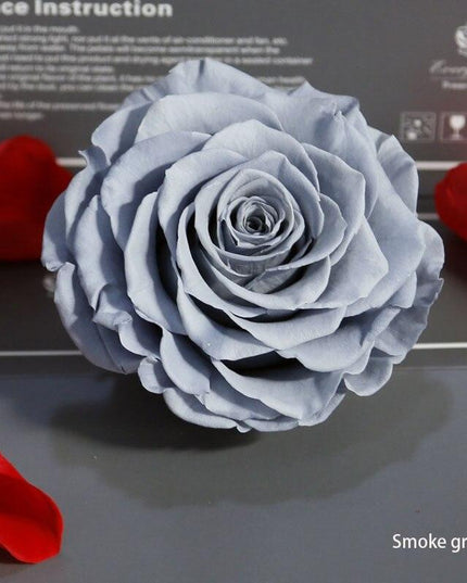 Timeless Grace: Luxurious Preserved Rose Head for Lasting Splendor