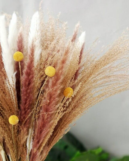 Chic 30-Piece Natural Dried Pampas Grass Rabbit Tail Bundle for Stylish Home Decor