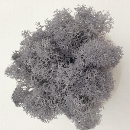 Timeless Elegance Moss Collection: Luxurious Artificial Plants for Upscale Home Decor