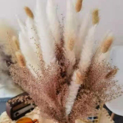 Charming 70-Piece Dried Floral and Reed Grass Collection for Versatile Decor