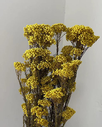 Timeless Treasures: Preserved Millet Flowers for Elegant Wedding Decor