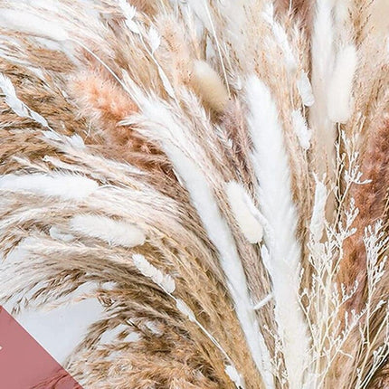 Natural Dried Rabbit Tail Pampas Grass Decorative Bundle - 80 Stems