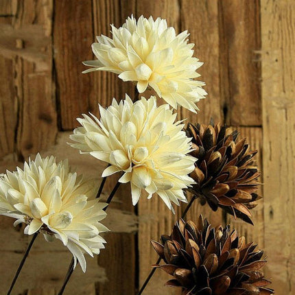 Elegant Magnolia: Handcrafted Dried Floral Arrangement with Durable Iron Stems