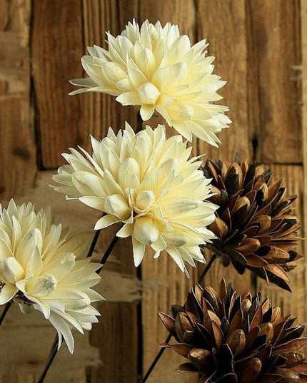 Elegant Magnolia: Handcrafted Dried Floral Arrangement with Durable Iron Stems