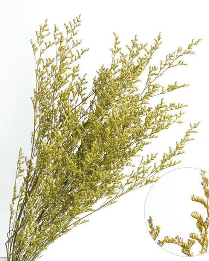 Timeless Serenity Dried Floral Arrangement - A Touch of Natural Elegance