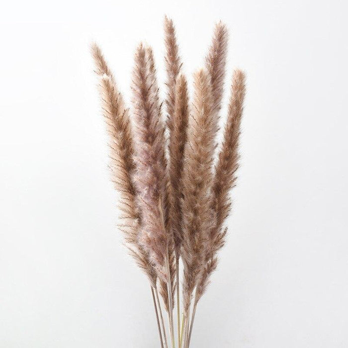 Elegant Dried Pampas Grass and Reed Bouquet - Natural Botanical Home and Wedding Decor