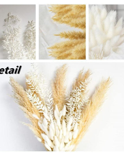 Timeless Elegance Pampas Grass Dried Flower Bouquet - 45cm Set