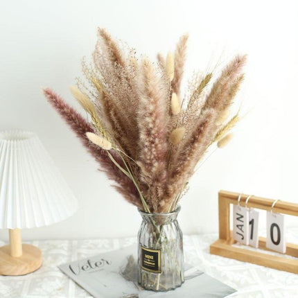 Natural Dried Rabbit Tail Pampas Grass Decorative Bundle - 80 Stems