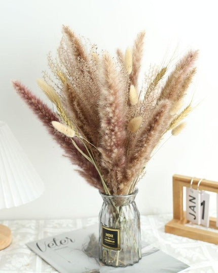 Natural Dried Rabbit Tail Pampas Grass Decorative Bundle - 80 Stems