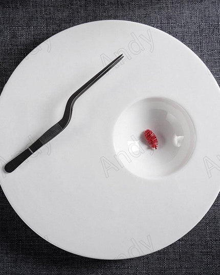 Sophisticated Ceramic Plate Set for an Elevated Steak Dining Experience