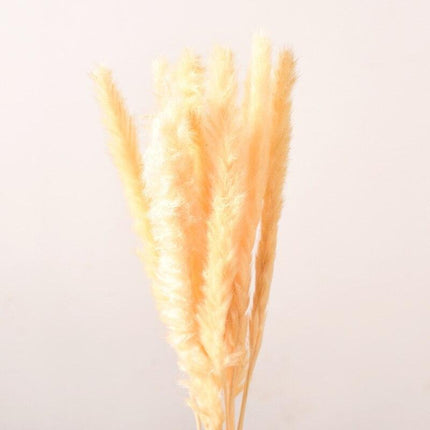 Dried Pampas Grass Bouquet - Elegant Rustic Decor for Homes and Weddings