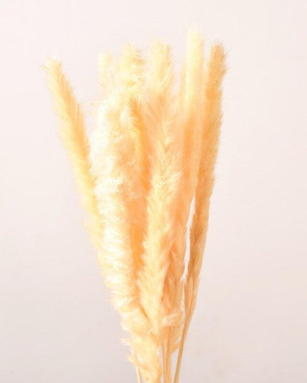 Dried Pampas Grass Bouquet - Elegant Rustic Decor for Homes and Weddings
