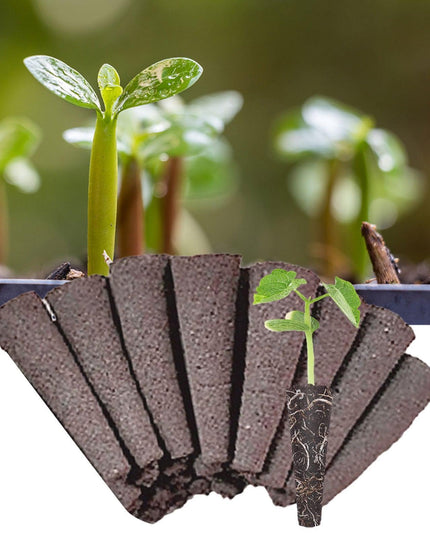 Root-Boosting Hydroponic Seedling Pods for Seamless Gardening