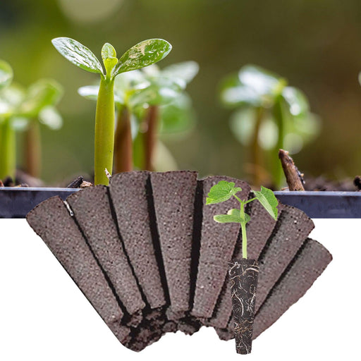 Hydroponic Seedling Starter Plugs: Enhance Root Strength and Simplify Your Gardening Journey