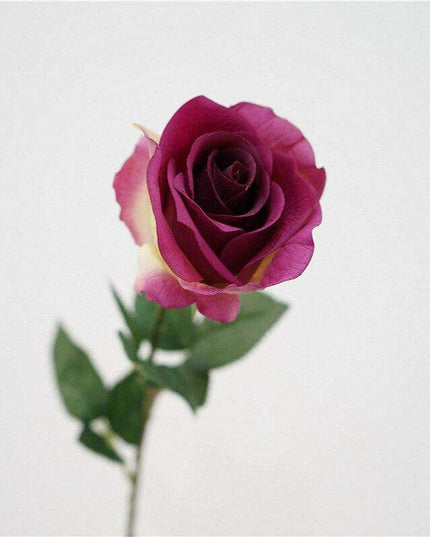 Exquisite Lifelike Rose Display - Premium Floral Decor for Elegant Spaces