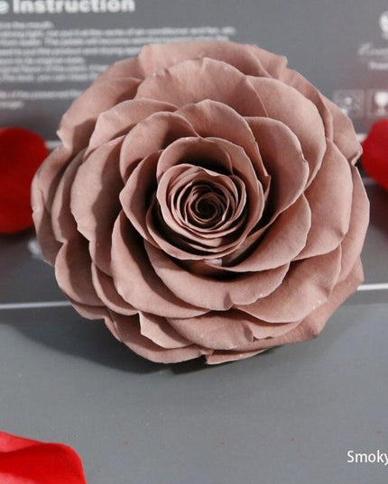 Timeless Grace: Luxurious Preserved Rose Head for Lasting Splendor