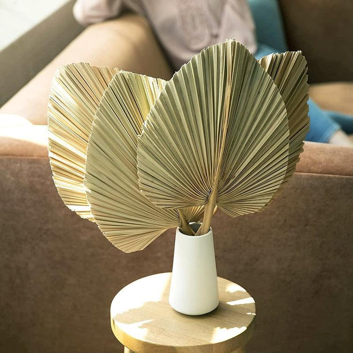 Exquisite Bohemian Dried Palm Fronds Collection
